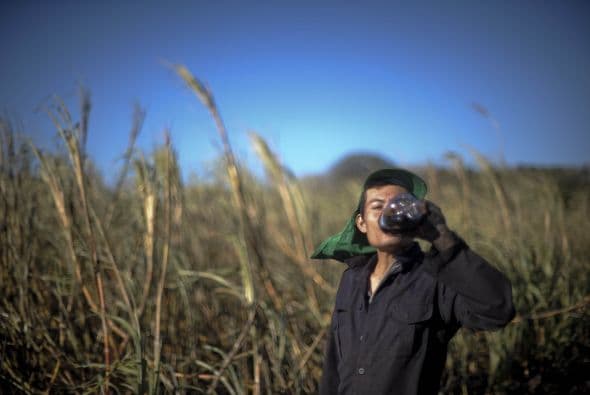 Y trabajadores salvadoreños se dedican a este noble negocio.