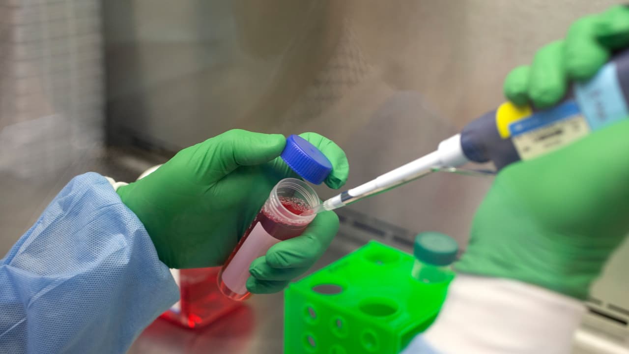 Los estudios realizados en San Francisco pronostican que 
<b>la variante representa el 90% de las infecciones de California a finales del mes de marzo.</b>