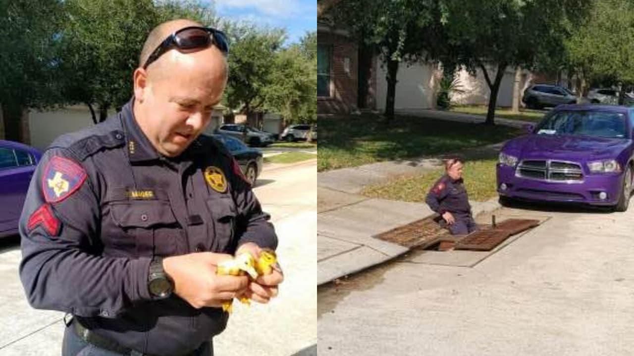 Oficiales rescatan varios patitos que habían caído en un drenaje en el condado de Harris 