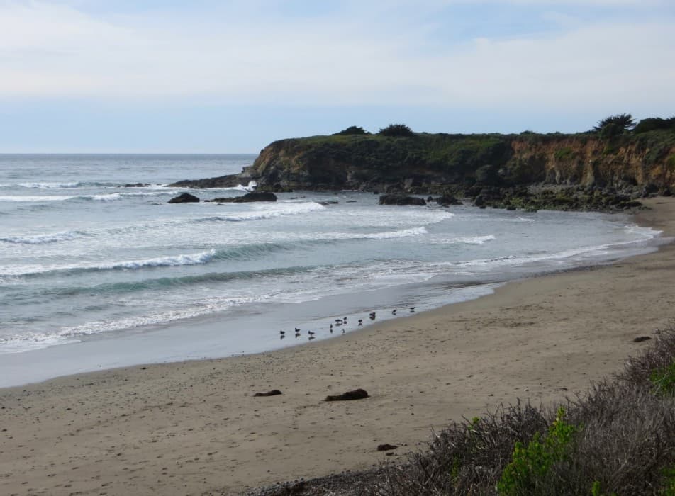 La playa de San Simeon en el condado de San Luis Obispo tabién está em la lista de marinas recomendadas por Heal The Bay para la temporada de Verano de 2019.