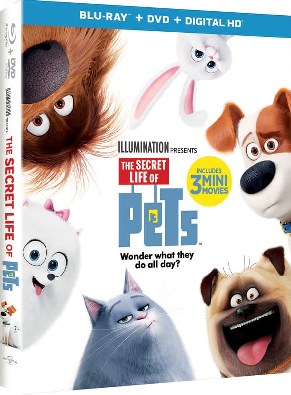 'The Secret Life of Pets' ahora en la pantalla chica