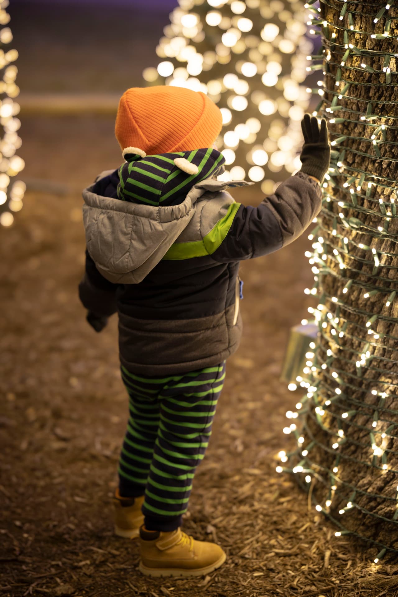 Las personas pueden acudir al lugar para tomarse fotos familiares navideñas.