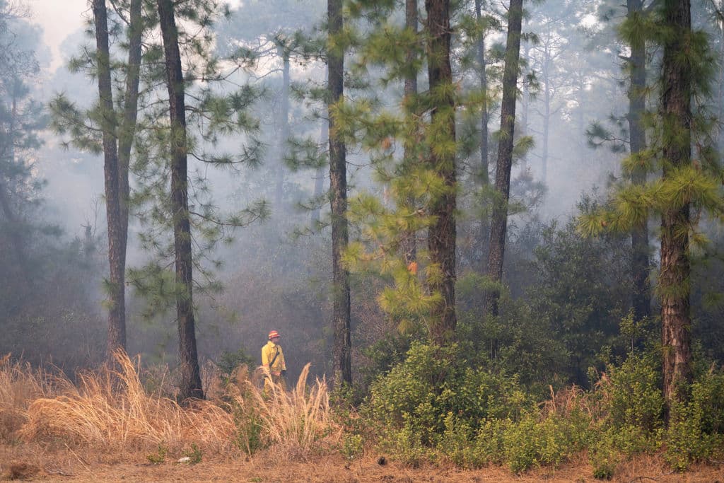 El humo se convertía en una amenaza tanto para los bomberos que trabajan en el territorio boscoso, como para las personas que intentaban dejar para último la salida de sus hogares.