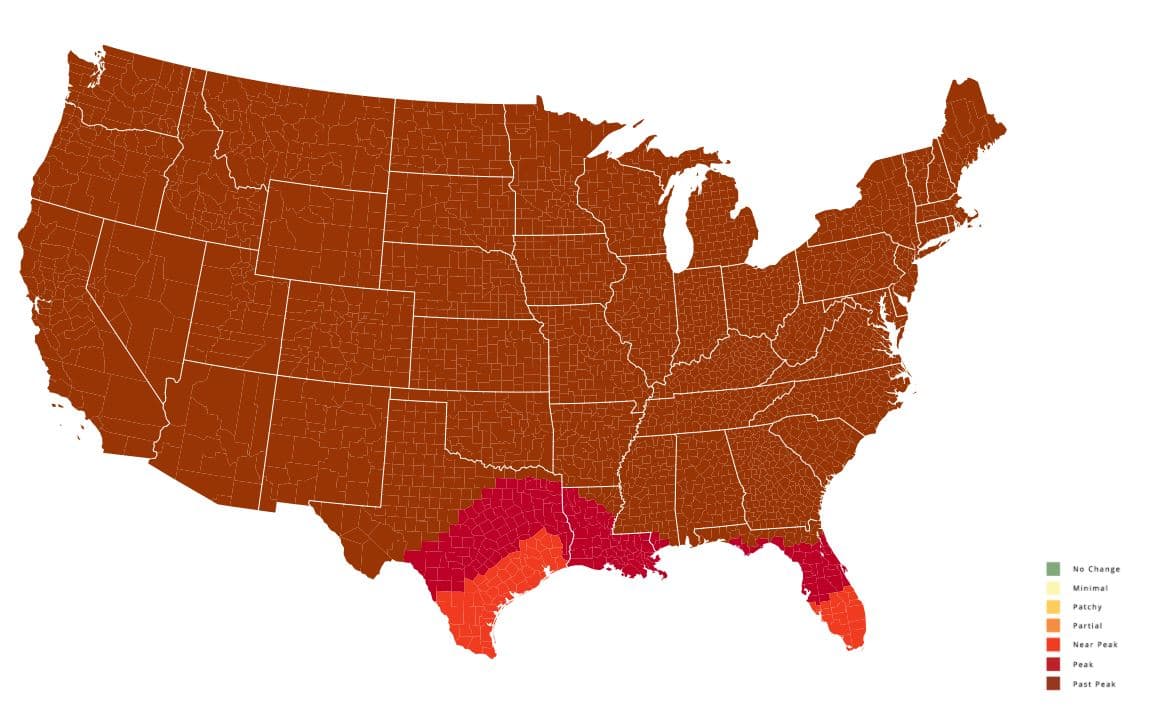 <b>Semana del 15 de noviembre:</b> La temporada de cambio de hojas ya pasó en todo el estado.
<br>