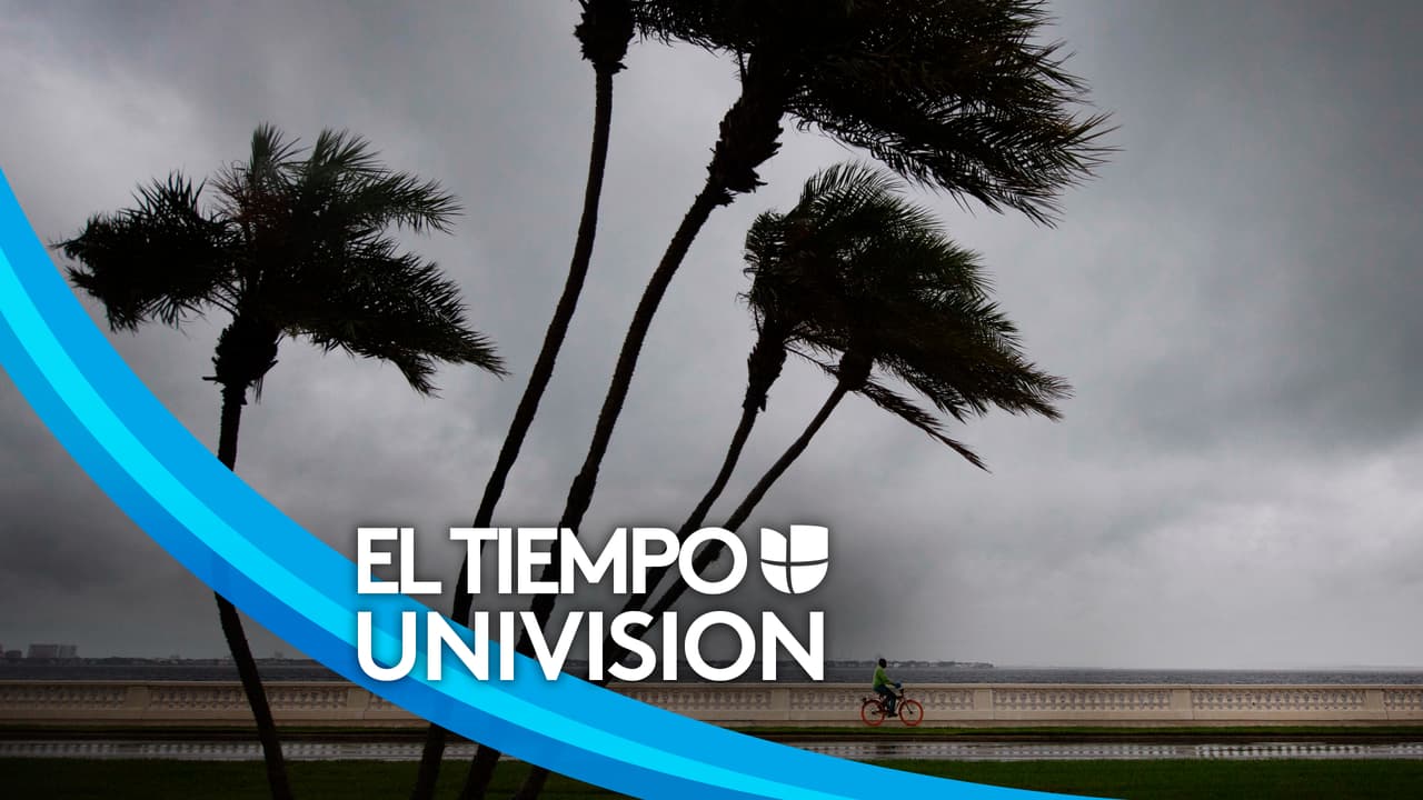 Cómo prepararse para la llegada de un huracán en la Bahía de Tampa 