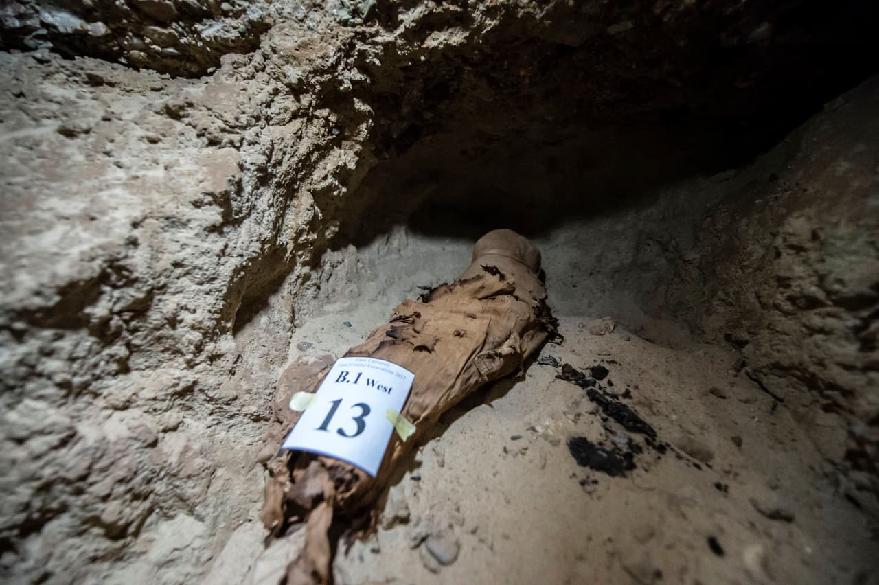 La zona también alberga una gran necrópolis de ibis, pájaros y otros animales momificados. También incluye tumbas y un edificio funerario.