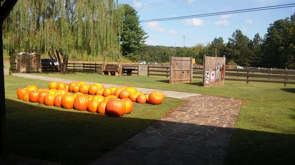 <a href=" http://www.yahoofarm.com/"><b>Yahoo Farm</b></a>
<br>La comida (y los ponis) son dos de los atractivos principales de esta granja en Georgia. Aquí, se preparan cupcakes (adivinaste, de calabaza), pies de manzana y barbecues. Hay un área especial destinada a la 'caza de calabazas' para niños mayores de ocho años.