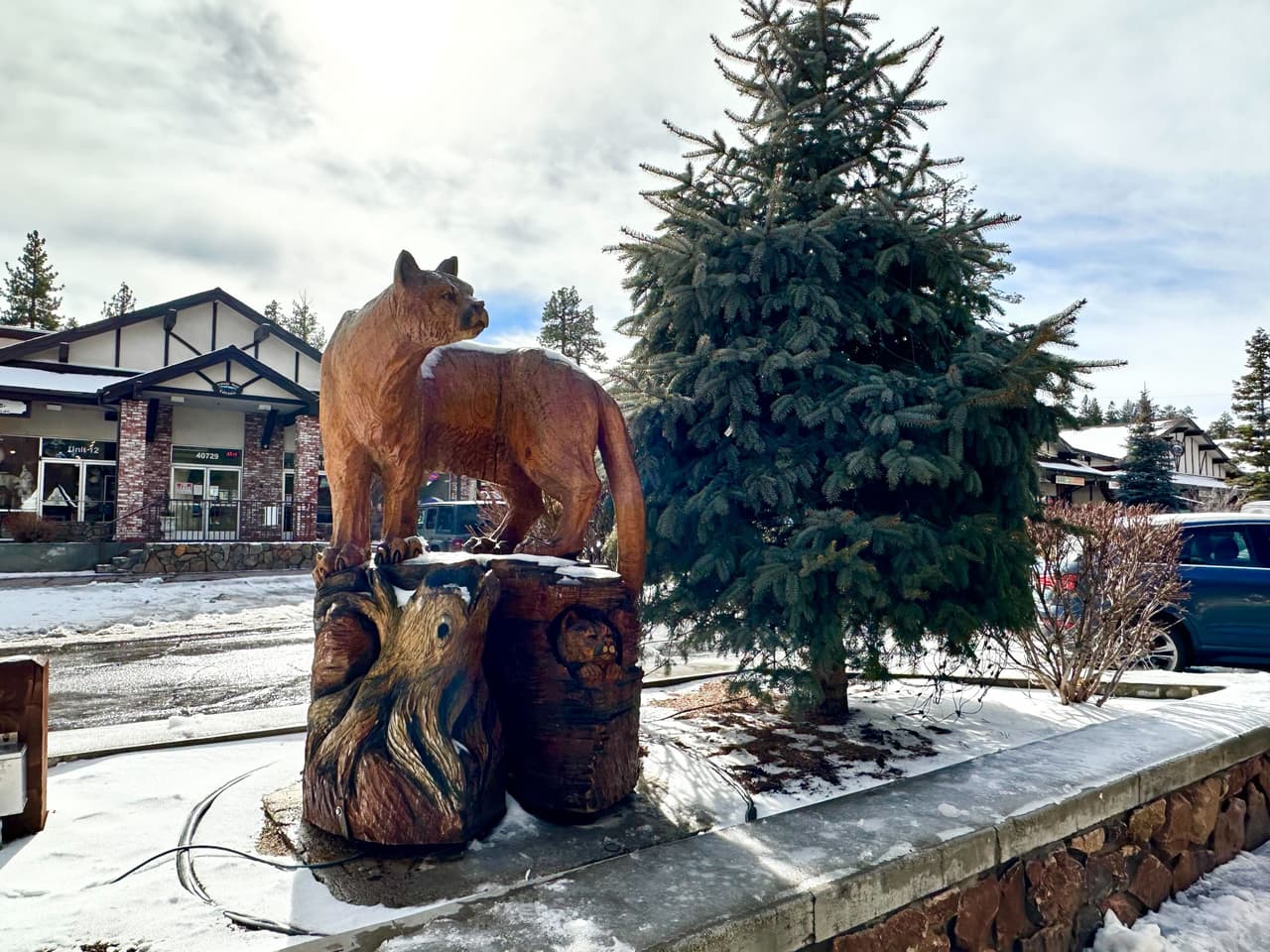 Pine Knot Village demuestra mediante el arte la variedad de su fauna silvestre, excelentes para tomarse fotos del recuerdo.