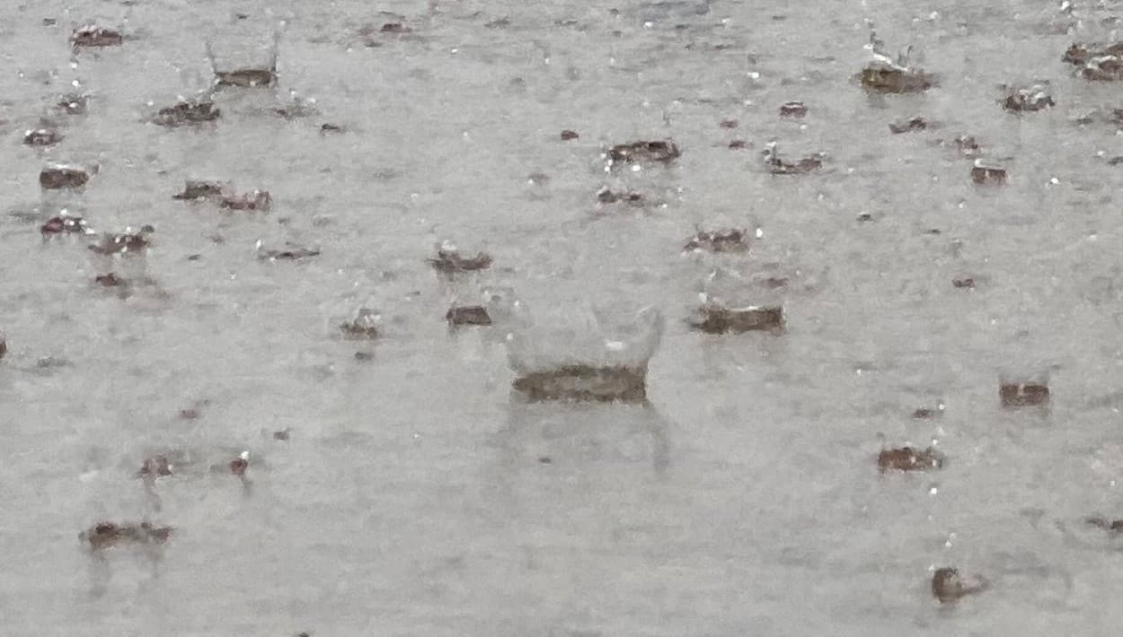 Onda tropical pasa cerca de Puerto Rico y advierten inundaciones para más de 10 pueblos 