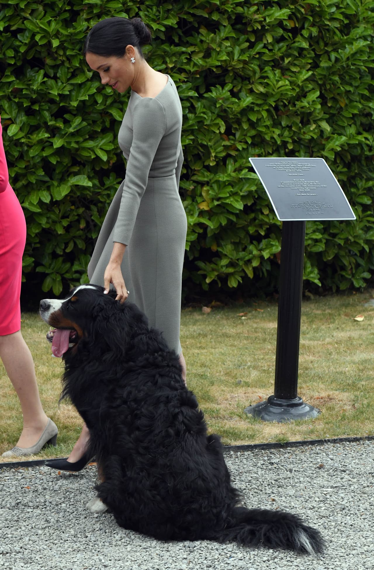 La fuente dijo a The Sun: 
<b>“Los perros rescatados son una gran pasión para ella</b>, por lo que el impulso de adoptar en lugar de comprar un cachorro es mucho más fuerte”.