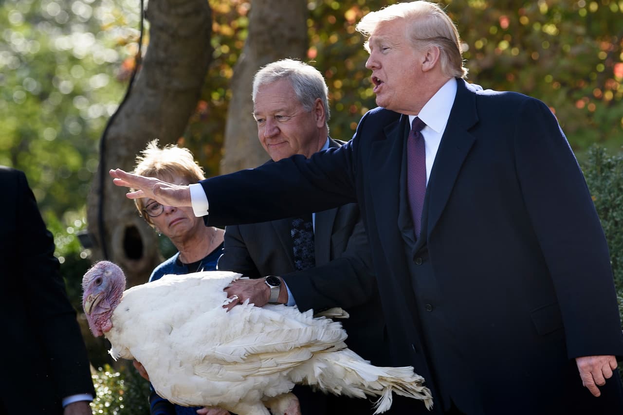 El 20 de noviembre de 2018 Donald Trump Perdonó a ‘Guisantes’ en su segundo año como presidente de EEUU. La tradicional ceremonia tiene su origen en la decisión de Abraham Lincoln de salvar a un pavo que iba a cenar su familia en 1863, a petición de su hijo Tad.
