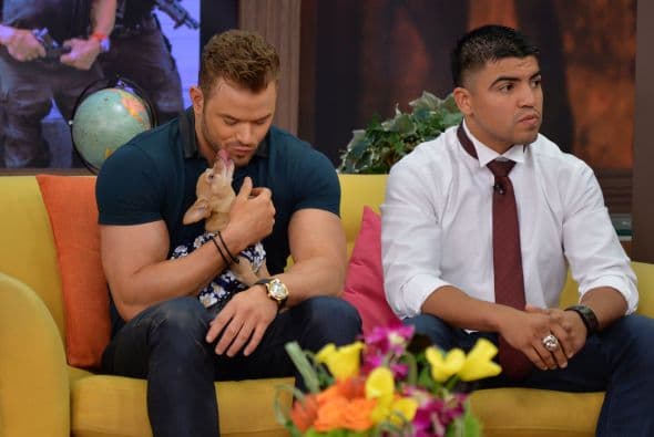 Kellan Lutz en Despierta América