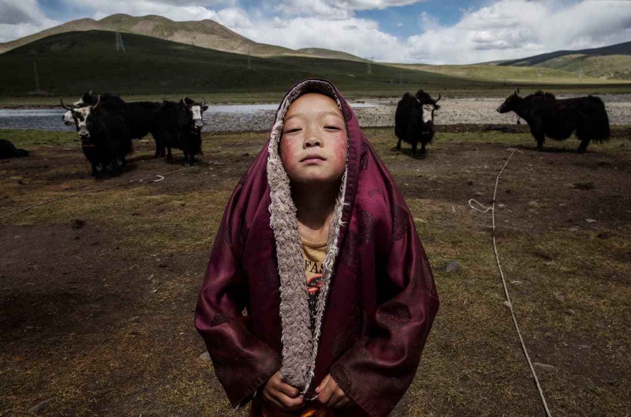 Los pequeños Los nómadas tibetanos se enfrentan a muchos desafíos a su forma tradicional de vida: presiones políticas, el reasentamiento forzado por el gobierno, el cambio climático y la rápida modernización de China. La meseta del Tíbet, a menudo llamada "el techo del mundo", es la más alta y grande de la tierra.