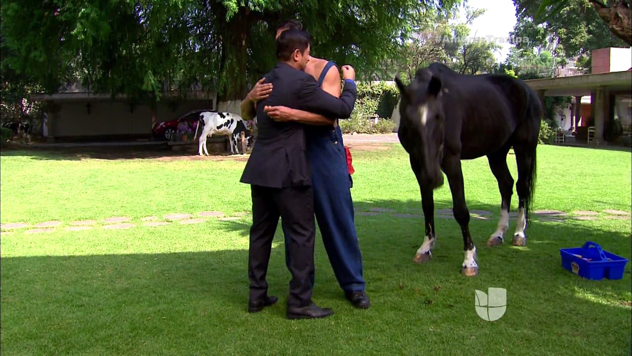 ¡Hasta abrazo se dieron! ¿Por fin podrán ser buenos vecinos?