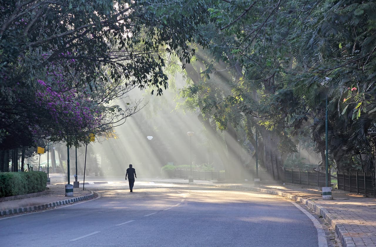 <b>Prepárate para un nido vacío</b>
<br>
<br>Puedes sentir una sensación de dolor o pérdida cuando tu hijo se va a la universidad. No hagas nada extremo, como renovar la casa o hacer grandes compras. Mantener un entorno familiar puede ayudarte a ti y a tu hijo adolescente a adaptarse a los cambios.