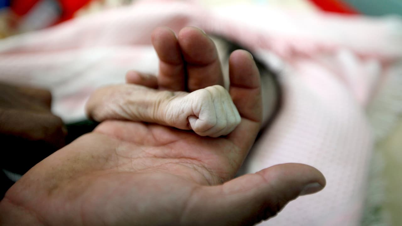 <b>Los niños se llevan la peor parte de la guerra civil en Yemen.</b> La ONG Save The Children publicó un comunicado donde afirma que cerca de
<a href="https://www.univision.com/noticias/disturbios-conflictos-guerra-paz/el-infierno-de-la-guerra-en-yemen-estiman-que-85-000-ninos-murieron-de-hambre-desde-2015-fotos">85,000 niños menores de cinco años fallecieron de hambre o enfermedad desde que se intensificó el conflicto en 2015</a>. El enfrentamiento entre las fuerzas del gobierno de Yemen, apoyados por Arabia Saudita, contra rebeldes supuestamente apoyados por Irán, mantiene al país del Medio Oriente en una cruenta guerra. 15 de noviembre de 2018.