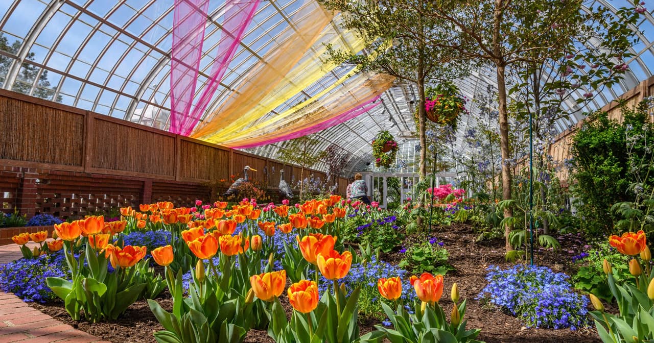 <b><a href="https://www.phipps.conservatory.org/">Phipps Conservatory and Botanical Gardens (Pittsburgh)</a></b>. Visita y descubre espectáculos de flores de temporada y exhibiciones especiales, una colección de orquídeas reconocida a nivel nacional, mariposas, jardines, divertidas actividades familiares y mucho más.
<br>
<br>
<b><a href="https://goo.gl/maps/t1ohiYdH2a2ejTXdA">Cómo llegar</a></b>