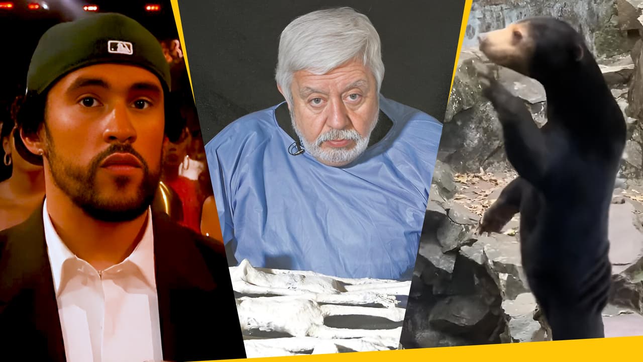 Momentos de 2023 que nos hicieron creer que vivimos en una simulación: reptilianos, inteligencia artificial, OVNIs y más