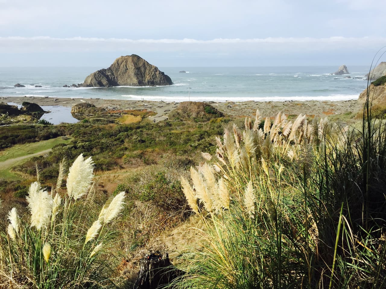 Acantilados pintorescos en la bruma. Elk, California.
