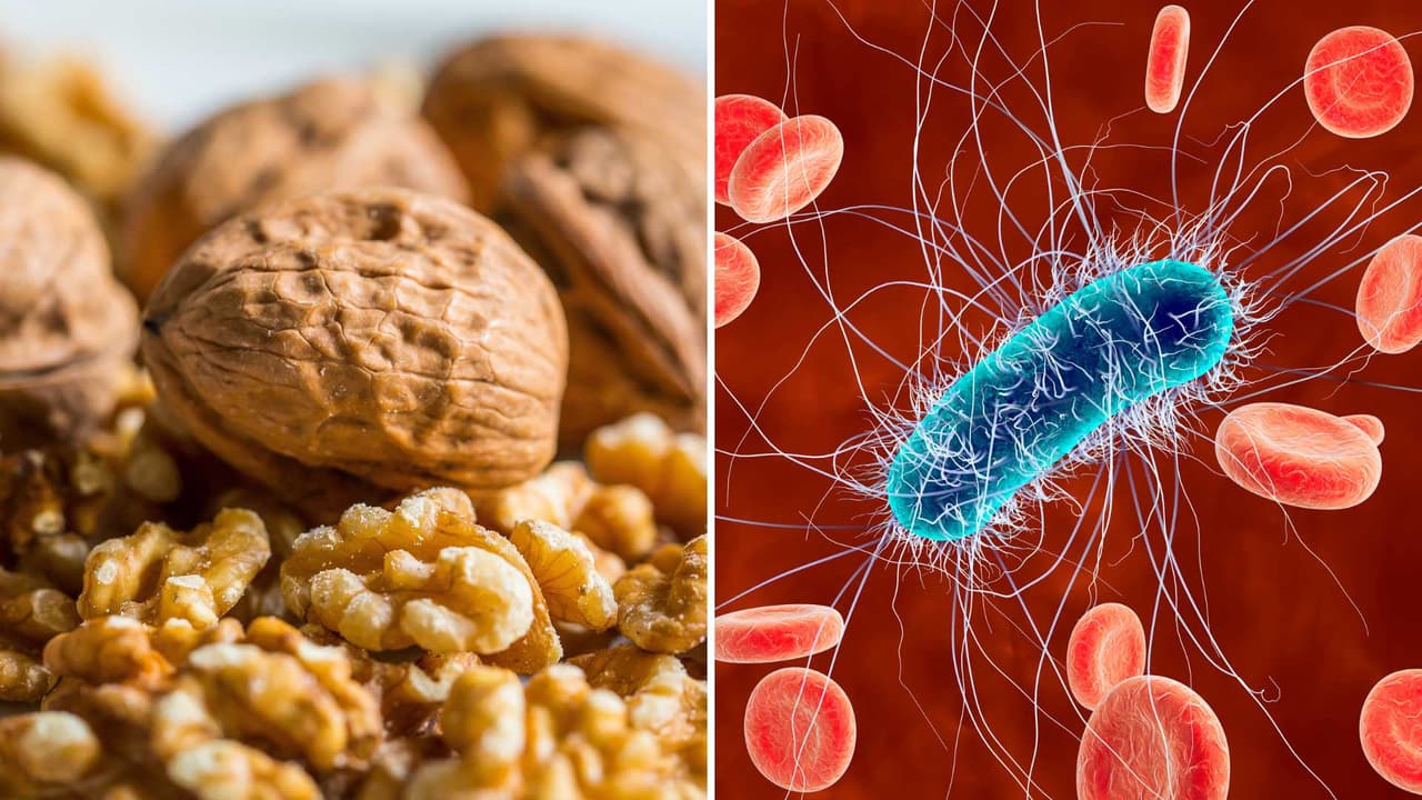 Retiran nueces contaminadas con bacteria que puede causar diarrea y enfermar los riñones