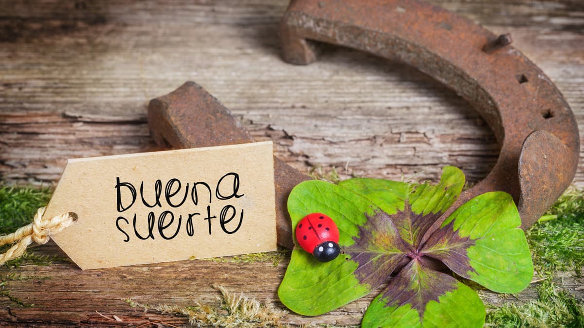 En muchos lugares del mundo existen diversas creencias que aseguran atraer la buena suerte, a lo largo de la historia, han surgido varios amuletos cada uno con sus propias características y orígenes que ayudan a atraer la fortuna de distintas maneras y para distintas cosas.