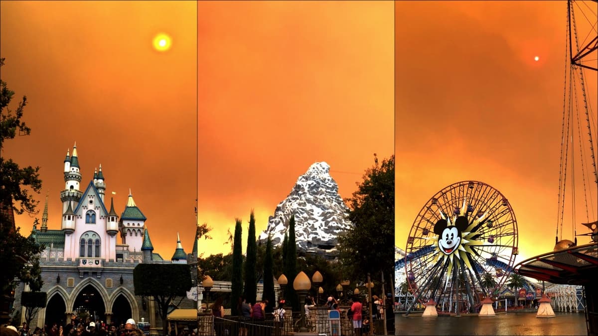 Evacuados por incendio en Anaheim Hills regresan a viviendas calcinadas