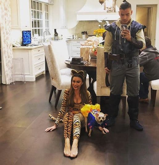 El pasado día de Halloween se disfrazaron y la pequeña Baguette no se quedó atrás.