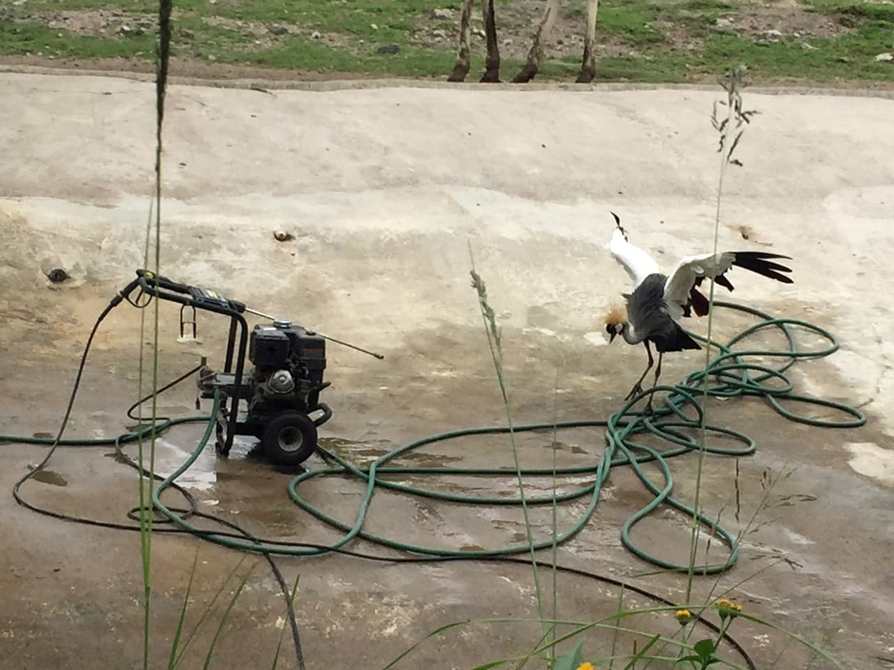 Una grulla sobre cables y mangueras.