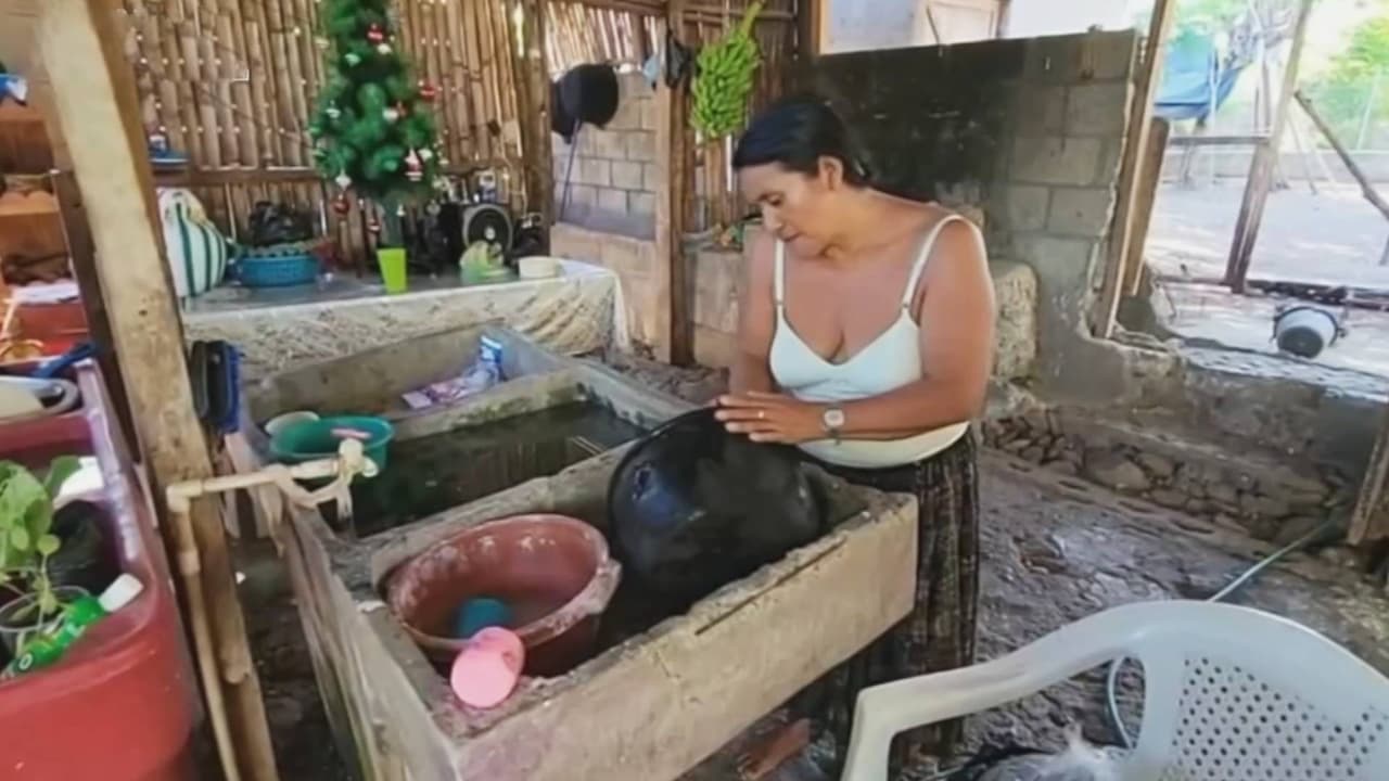 "Estamos en la pobreza": así vive la familia del hispano detenido por ICE tras subirse a un árbol