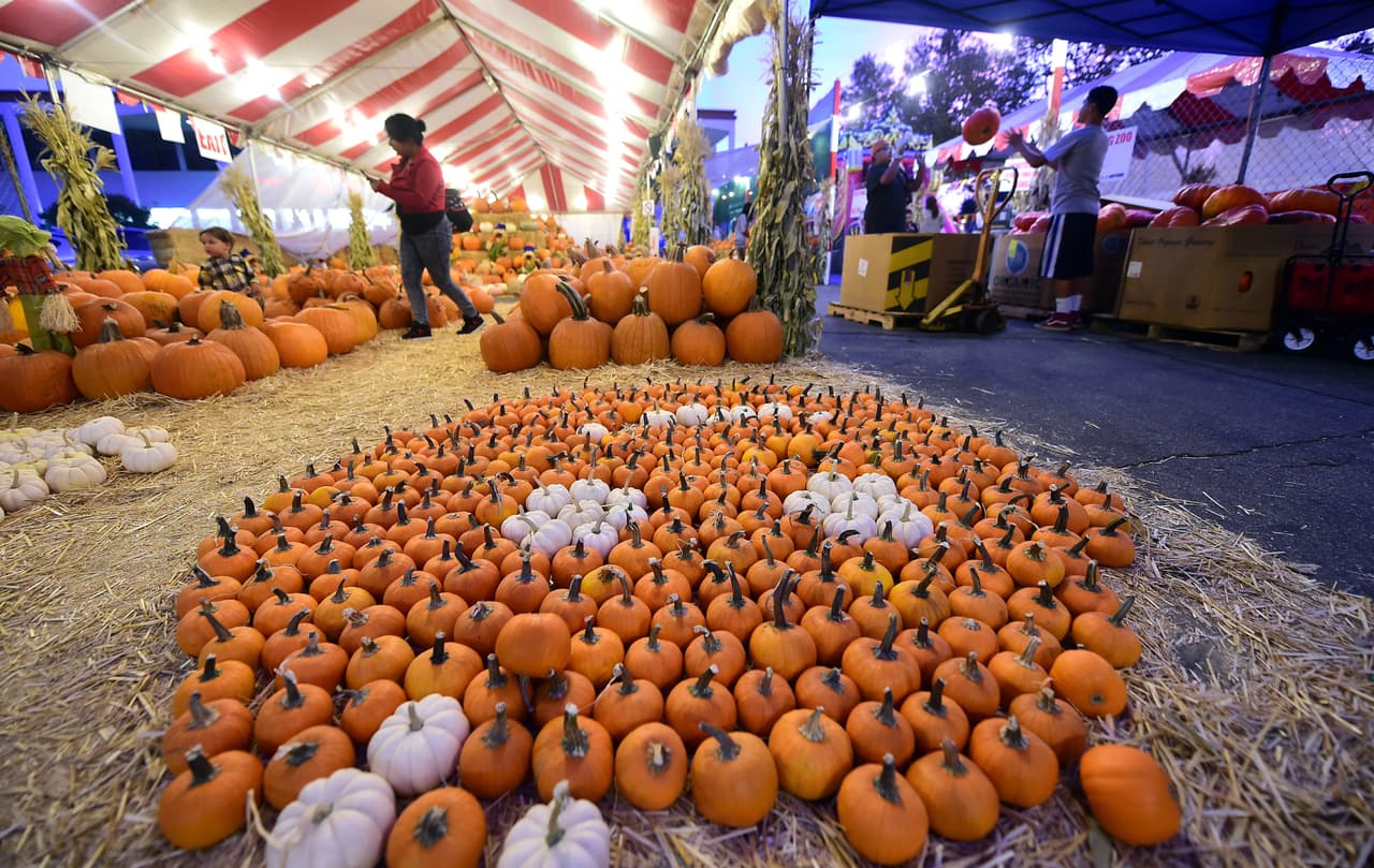 Debido a la pandemia, varias granjas tienen nuevos protocolos, como usar mascarillas y respetar el distanciamiento social. 
<br>