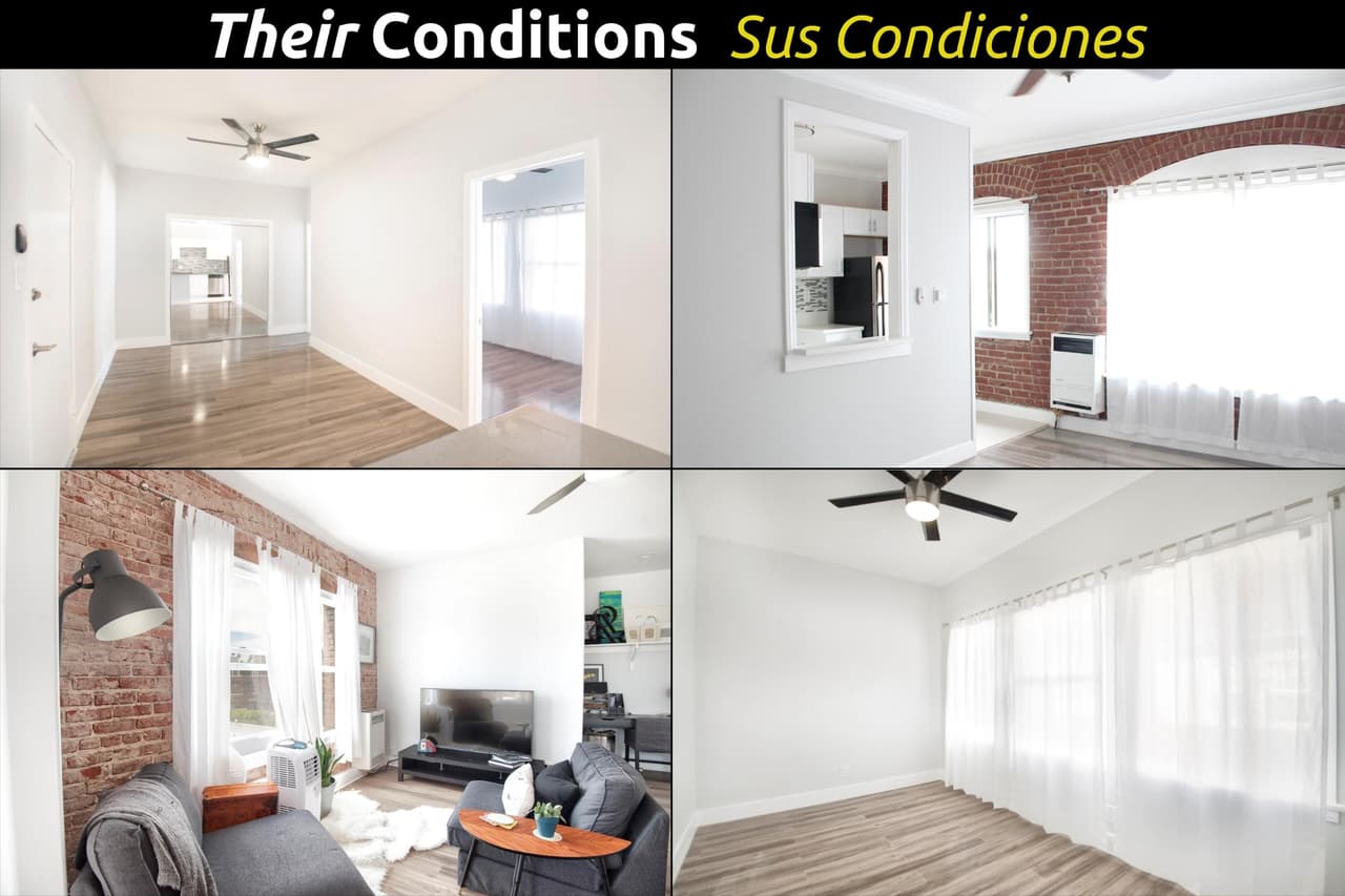 Sin ratones ni cucarachas.