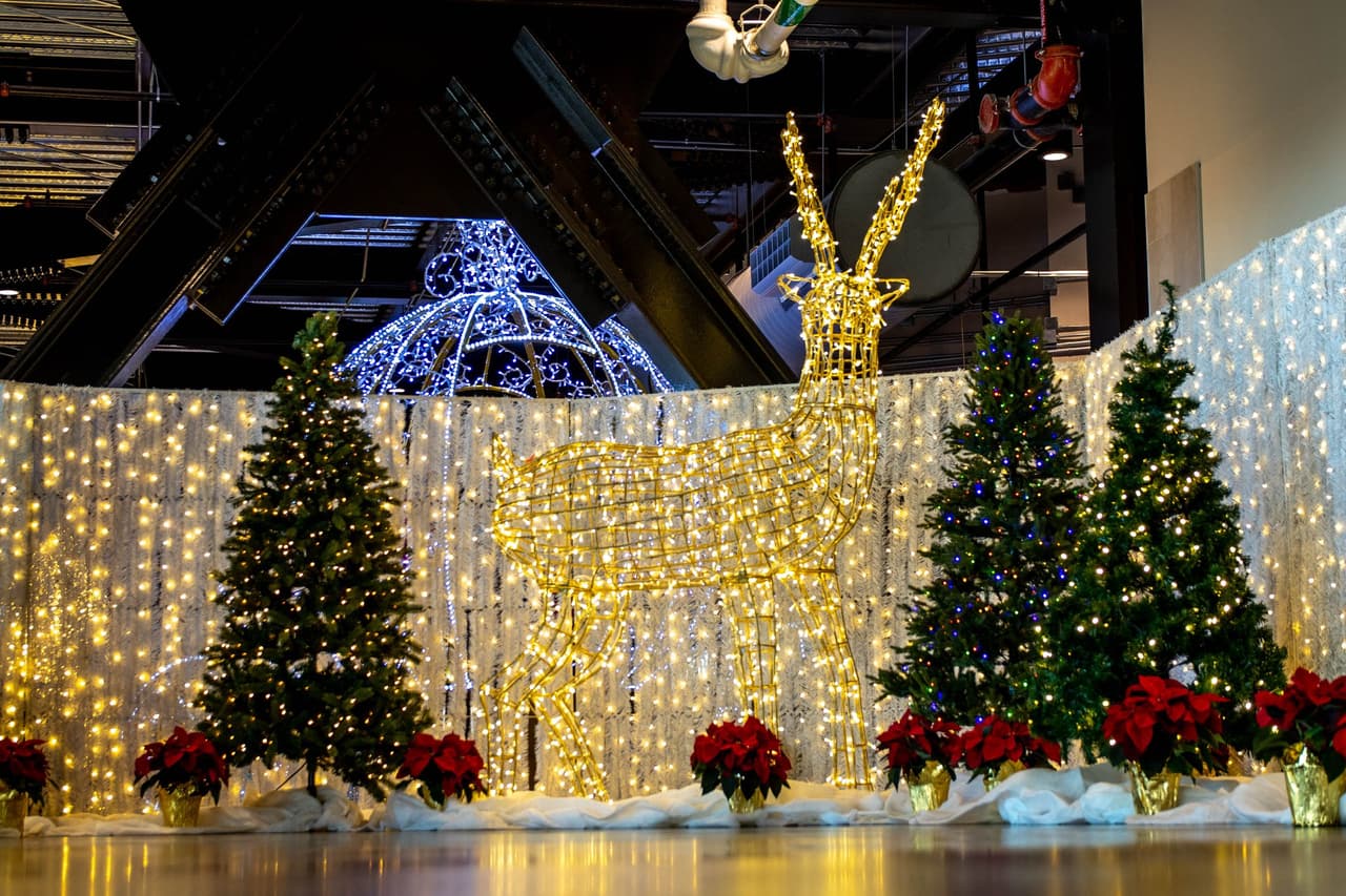 Los diferentes diseños de luces también incluyen un túnel iluminado y una sección interactiva llena de luces que sirve para tomar fotografías con la familia.