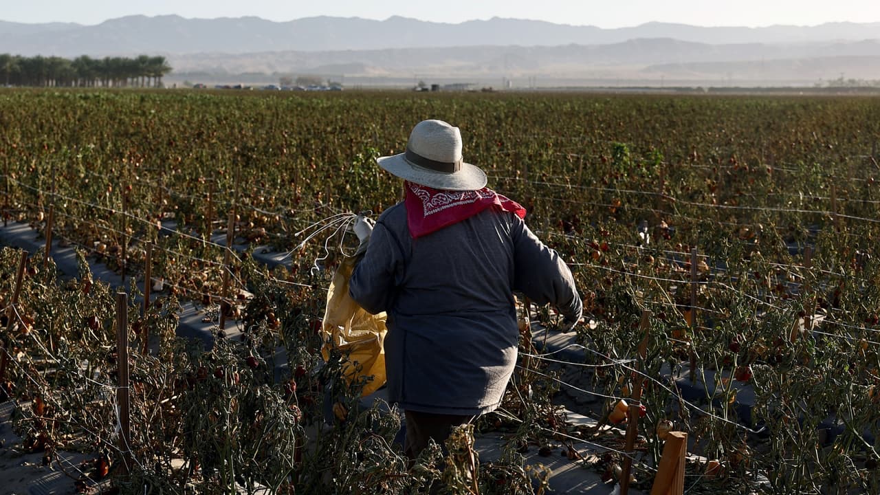 Desempleo podría aumentar en California debido al actual ambiente migratorio