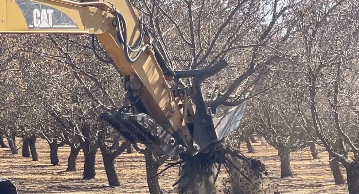 Maquina almendros.jpg