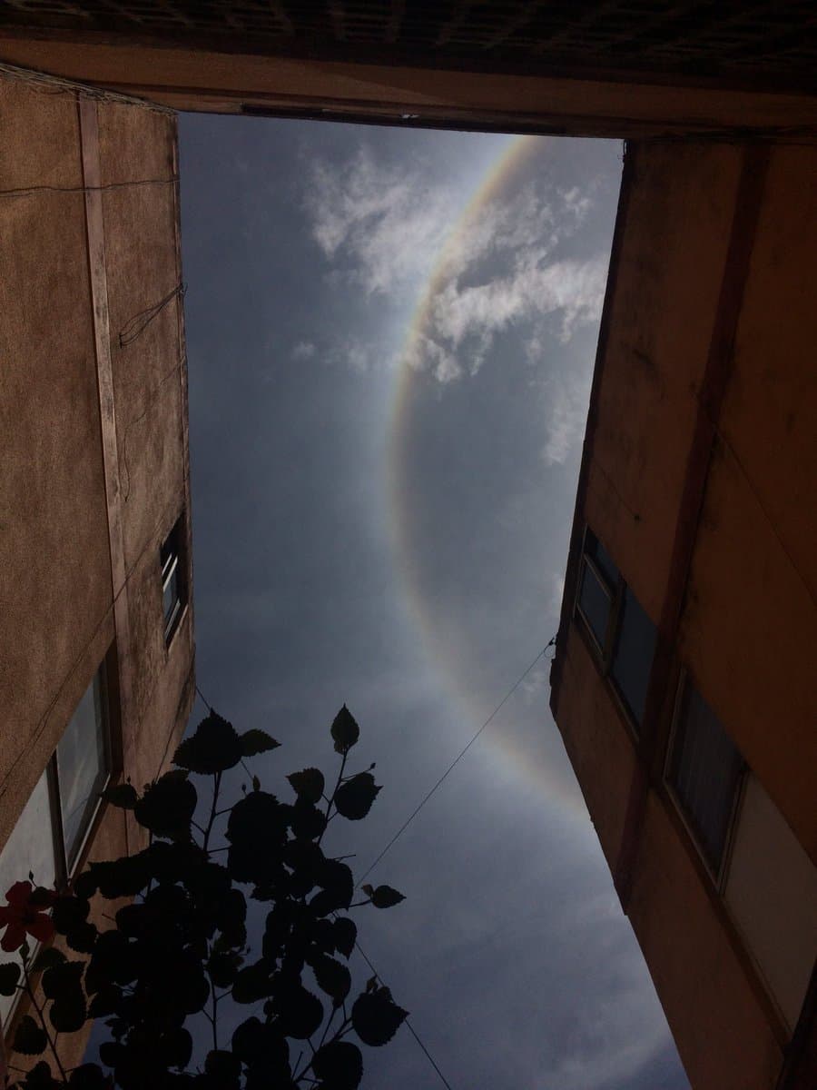 El anillo del halo suele ser iridiscente con el color rojo en el lado interior del anillo y el verde y el azul claro en la parte externa, también puede parecer un arcoíris completo. 
<b>Foto: @Nyuundere </b>