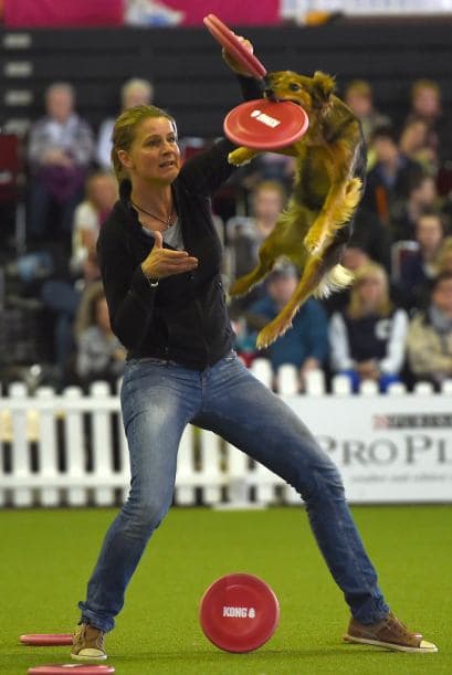Su dueña y él listos para ganar un premio, gracias a su talento.