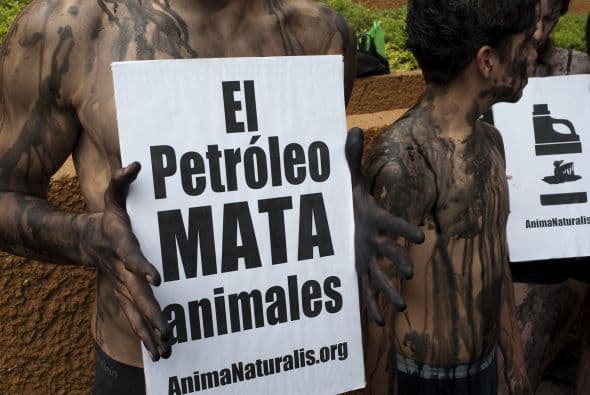 Los activistas que integran la organización luchan por diferentes causas, como lo hicieron en julio pasado con motivo del derrame de petróleo en el Golfo de México. En esa ocasión el objetivo era alertar a la gente sobre los animales que mueren a causa de la marea negra y hacer un llamado a usar menos gasolina.