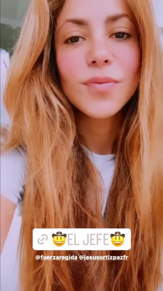 Shakira manda mensaje de solidaridad a sus seguidores por 'El Jefe'.