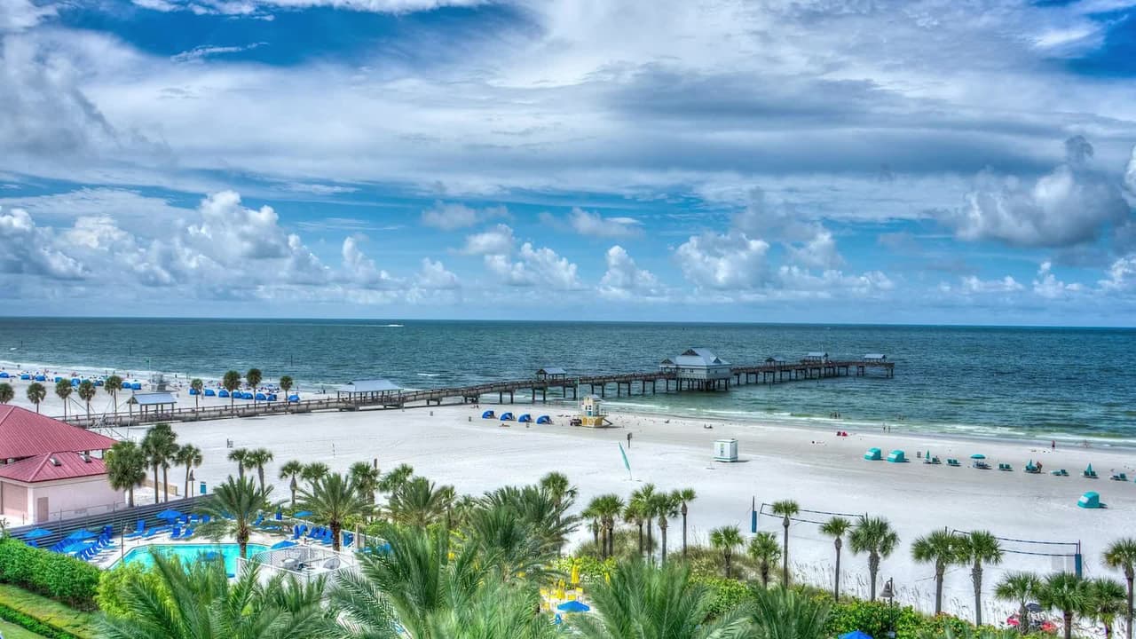 <a href="https://www.univision.com/local/tampa-wvea/mejores-playas-bahia-tampa-florida">La Bahía de Tampa ofrece playas de hermosos atardeceres y aguas cristalianas; paisajes para compartir en familia y disfrutar de la naturaleza. Estas son algunas de las mejores playas que no te puedes perder. </a>
