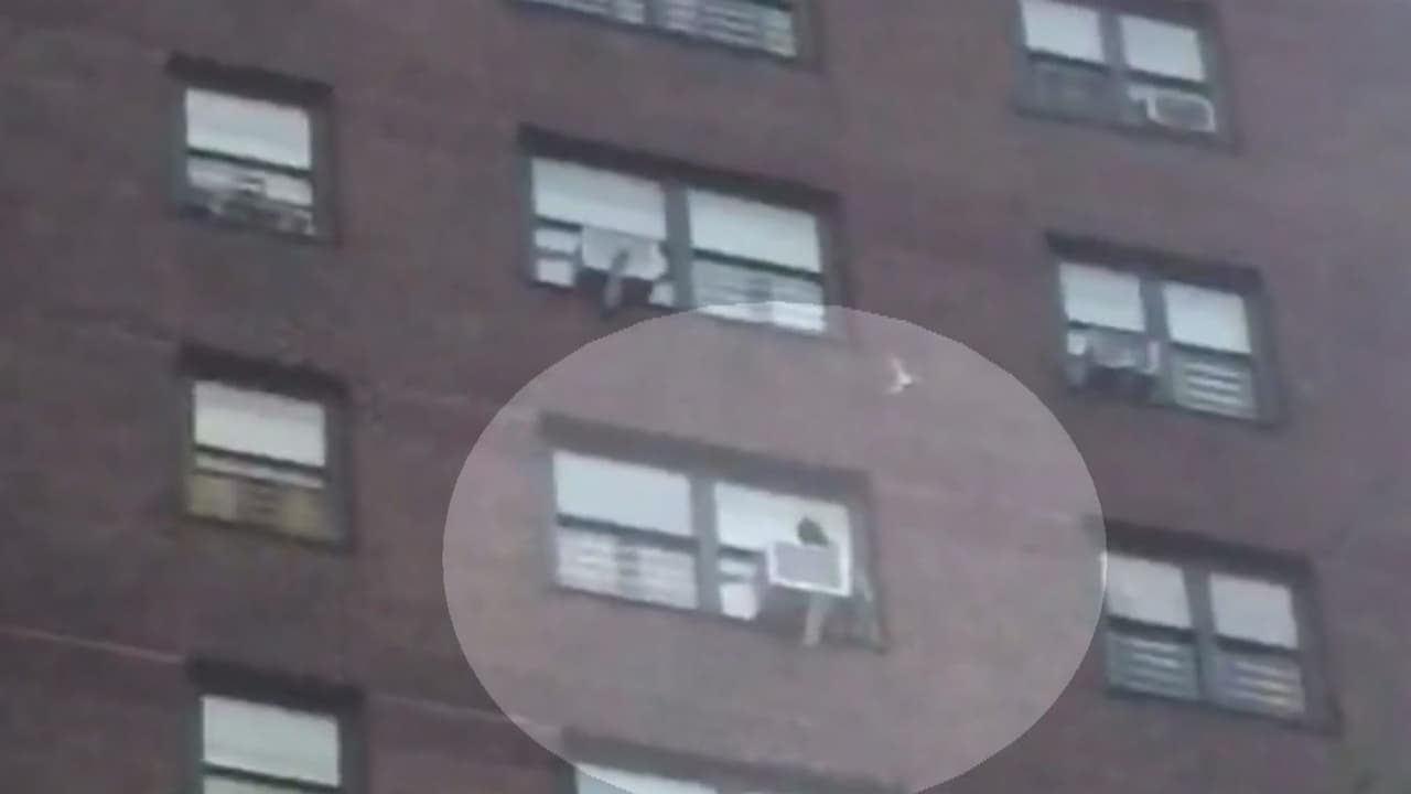 Impactante video muestra a bebé saliendo por la ventana del piso 13 de un edificio en El Bronx