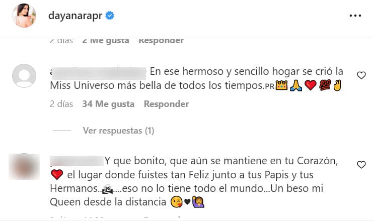Varios de los fans de Dayanara Torres aplaudieron que guardara esa imagen y que se sintiera orgullosa del lugar del salió a conquistar al mundo.