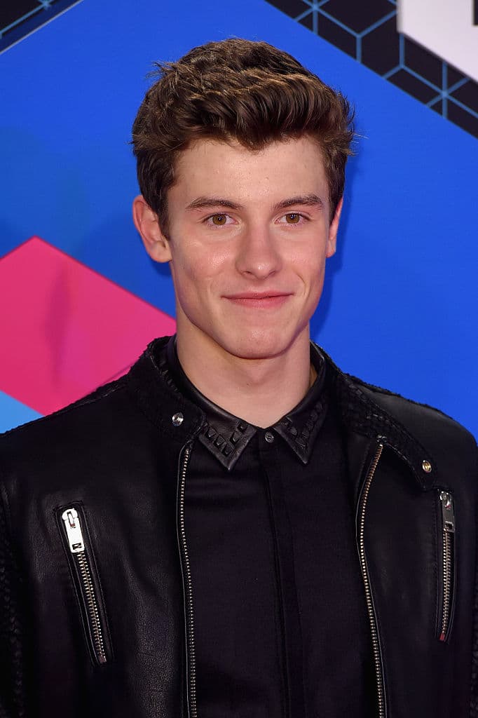 Shawn Mendes en la alfombra roja de los MTV Europe Music Awards 2016