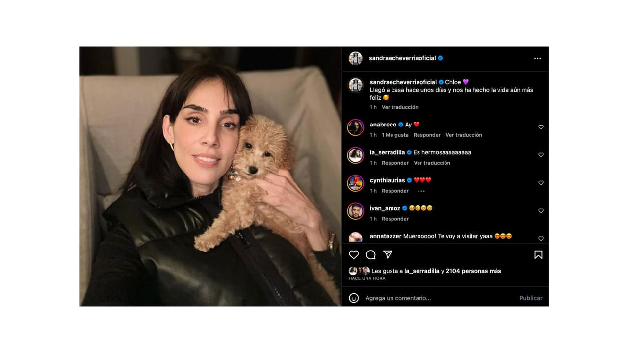Sandra Echeverría presentó al nuevo integrante de su familia.