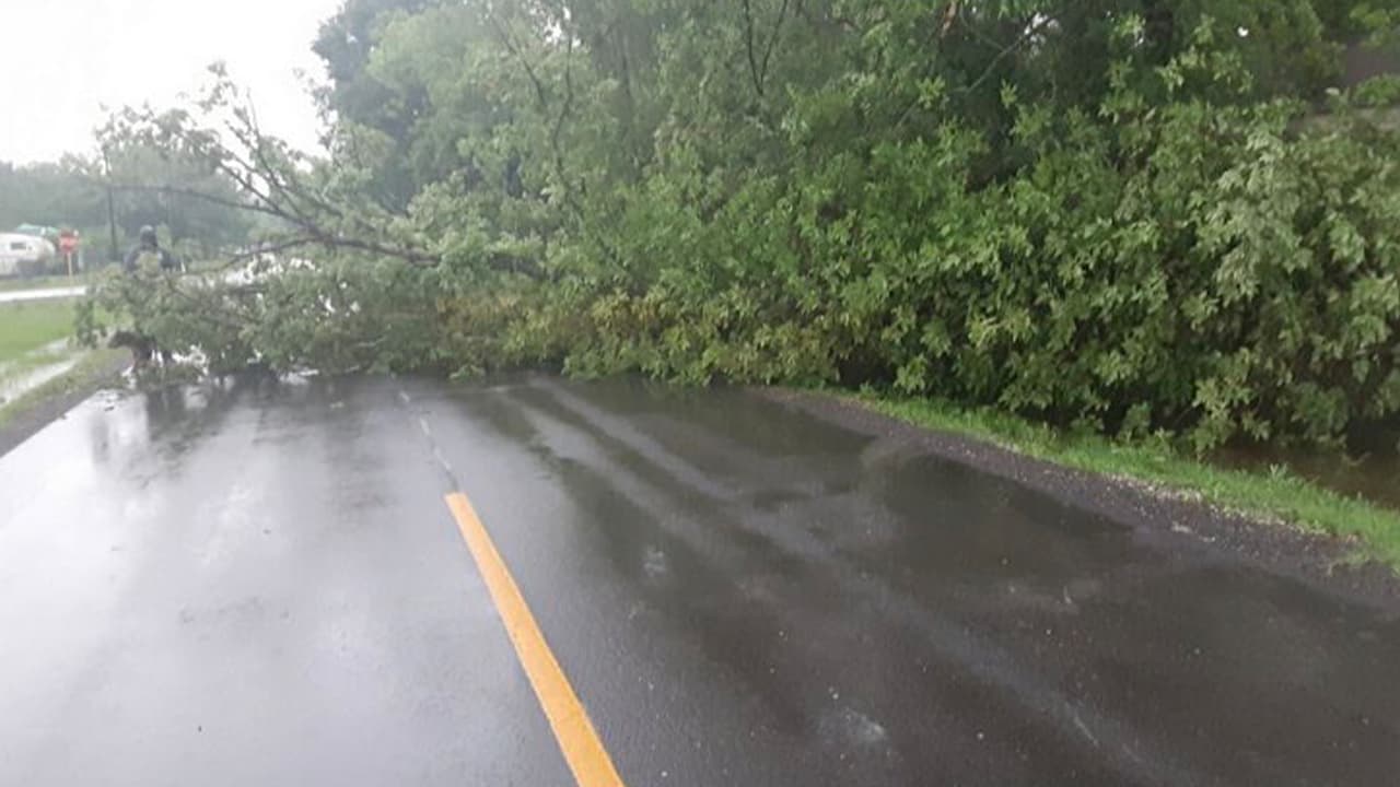Autoridades tuvieron que trabajar en quitar del camino un árbol en las calles Vivian y Willie el cual estaba obstruyendo el camino. Fuente:
<b><a href="https://twitter.com/HarrisCoPct2/status/1394996087564476418" target="_blank">Precinto 2 del Condado Harris. </a></b>