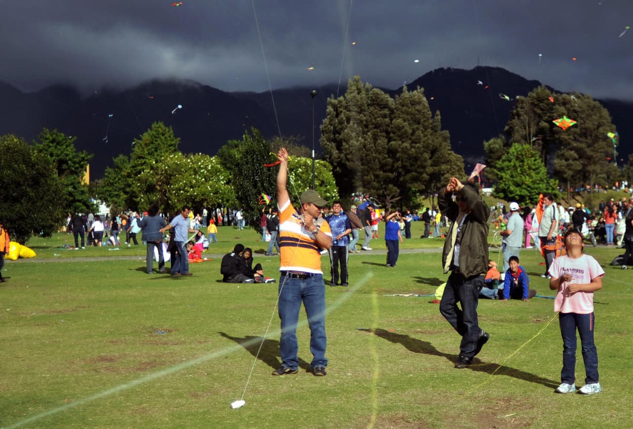 Plantar árboles ayuda a reducir el crimen, de acuerdo a un estudio realizado en Bogotá