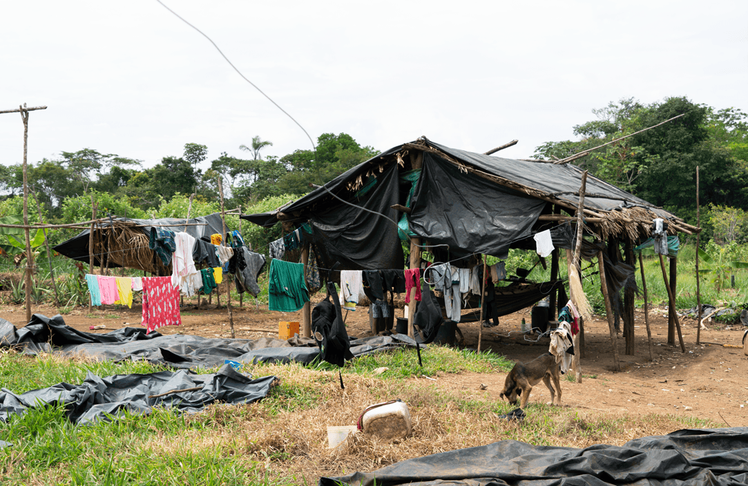 Asentamiento nukak en cercanías de San José del Guaviare.