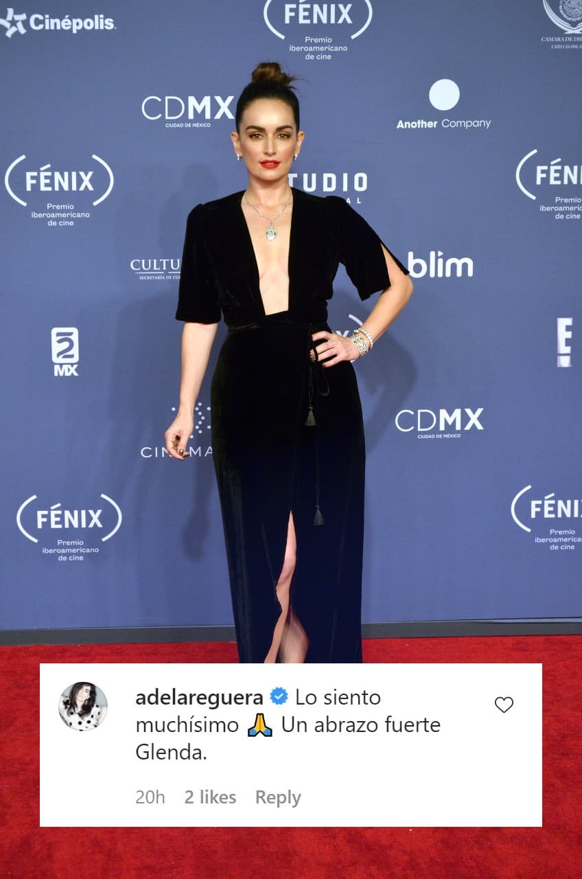 La actriz mexicana 
<b>Ana de la Reguera</b> también mostró su solidaridad ante el difícil momento.