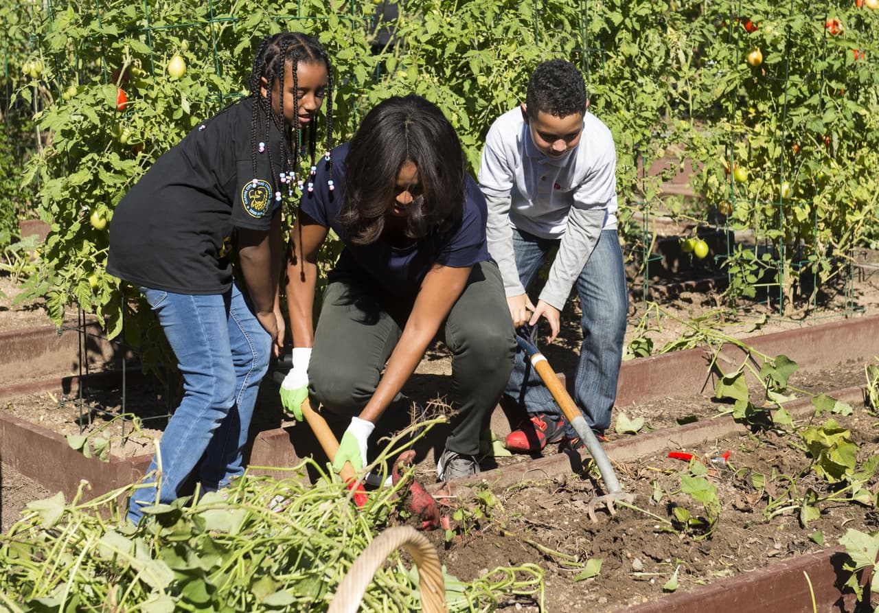Estudiantes de alto promedio de escuelas locales le ayudaron a recolectar los vegetales listos.