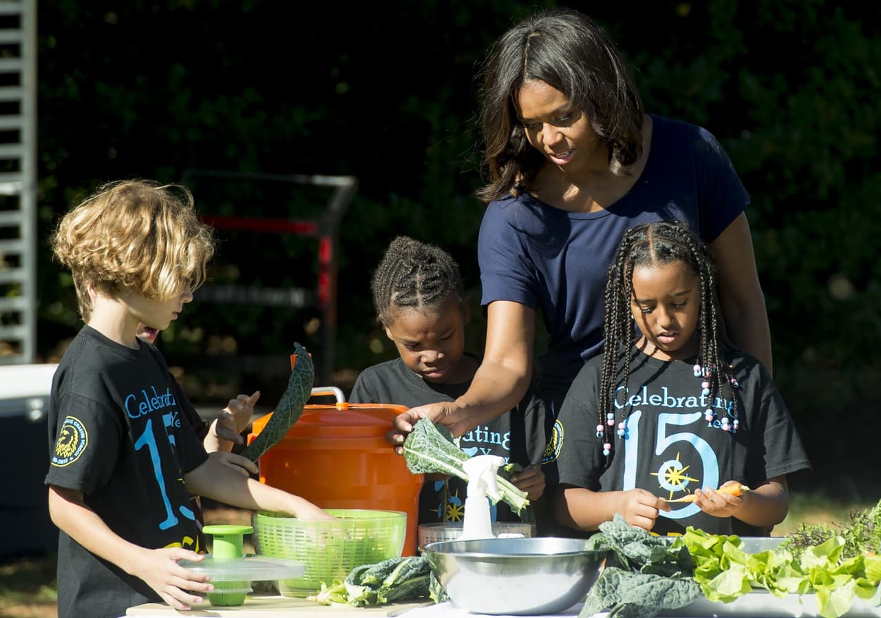 El 20 de marzo 2009, Michelle Obama construyó la huerta más vasta de vegetales hasta ahora vista en la Casa Blanca.