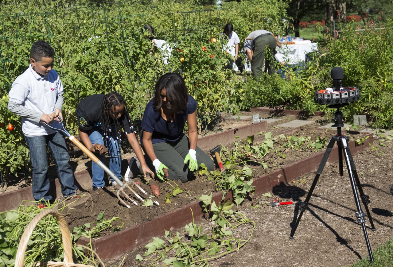 Cada Primera Dama que pasa por la Casa Blanca decide qué es lo que desea plantar en sus jardínes.